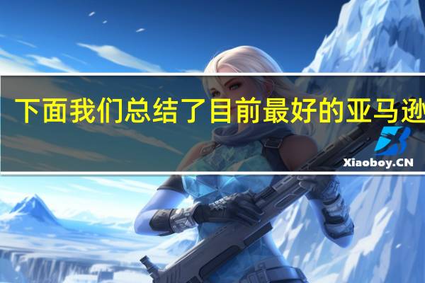 下面我们总结了目前最好的亚马逊交易