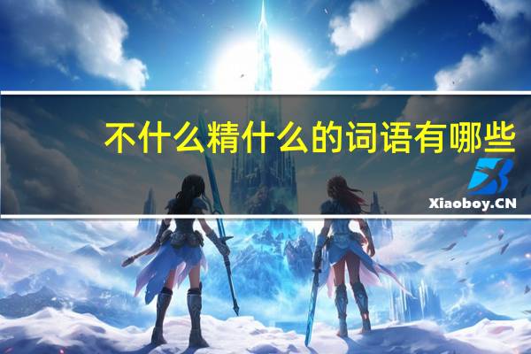不什么精什么的词语有哪些?