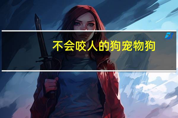 不会咬人的狗宠物狗