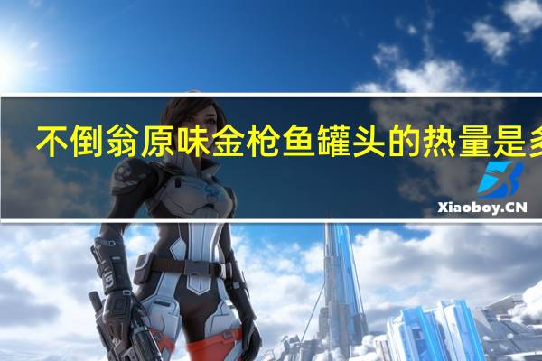 不倒翁 原味金枪鱼罐头的热量是多少