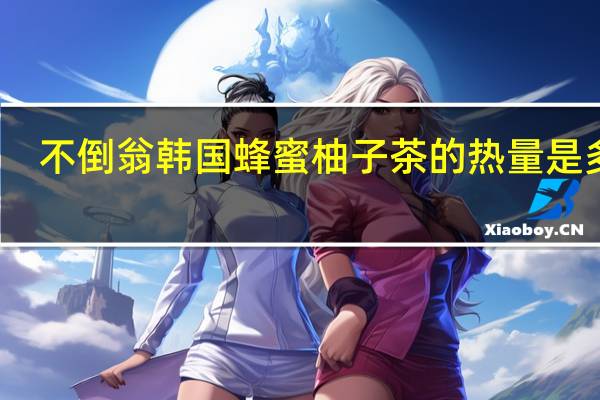 不倒翁 韩国蜂蜜柚子茶的热量是多少