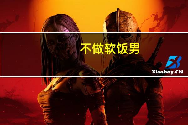 不做软饭男-碉堡rghh所著网络小说简介