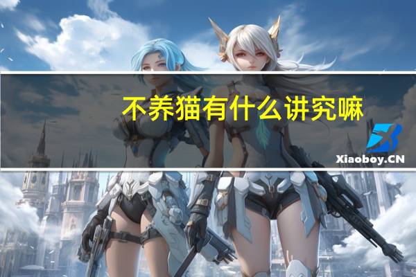 不养猫有什么讲究嘛