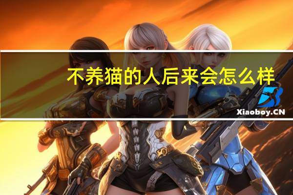 不养猫的人后来会怎么样