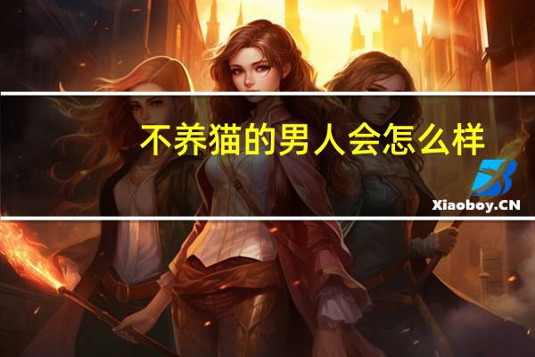 不养猫的男人会怎么样