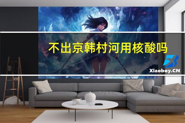 不出京韩村河用核酸吗