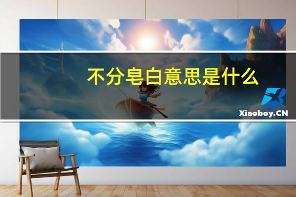 不分皂白意思是什么