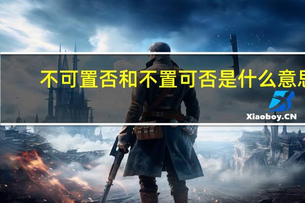 不可置否和不置可否是什么意思（不置可否是什么意思）