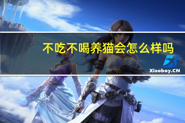 不吃不喝养猫会怎么样吗