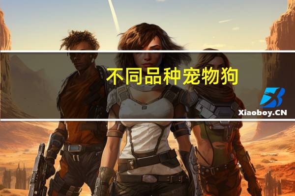 不同品种宠物狗