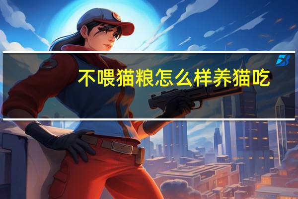 不喂猫粮怎么样养猫吃