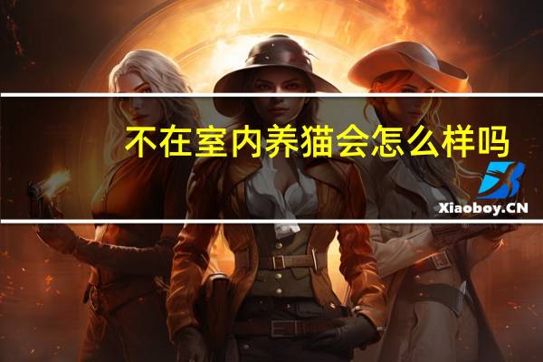 不在室内养猫会怎么样吗