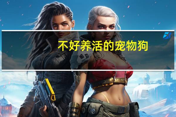 不好养活的宠物狗