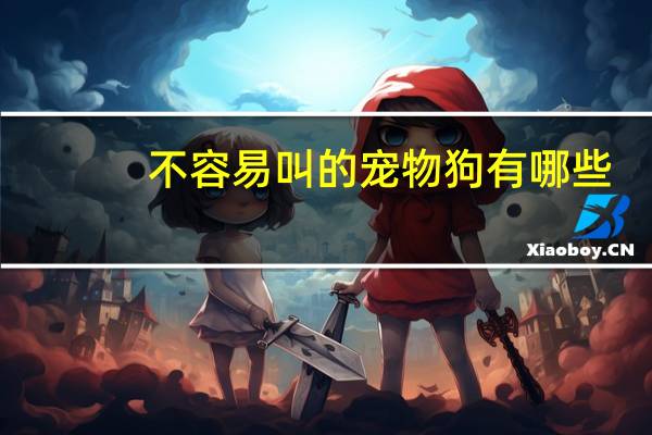 不容易叫的宠物狗有哪些