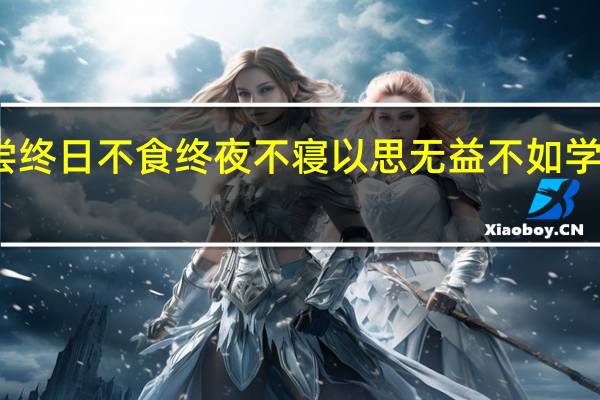 不尝终日不食终夜不寝以思无益不如学以的意思