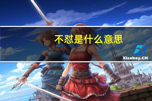 不怼是什么意思