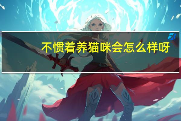 不惯着养猫咪会怎么样呀