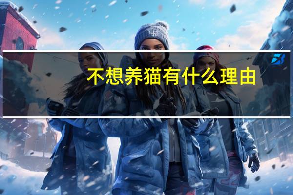 不想养猫有什么理由