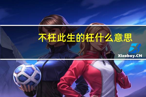 不枉此生的枉什么意思