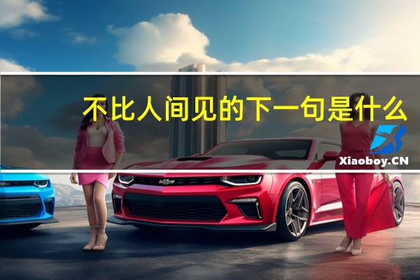 不比人间见的下一句是什么