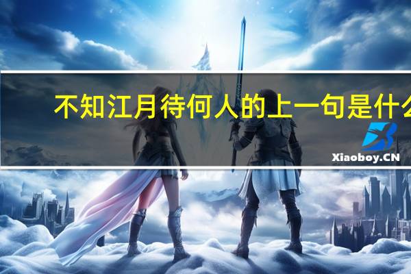 不知江月待何人的上一句是什么