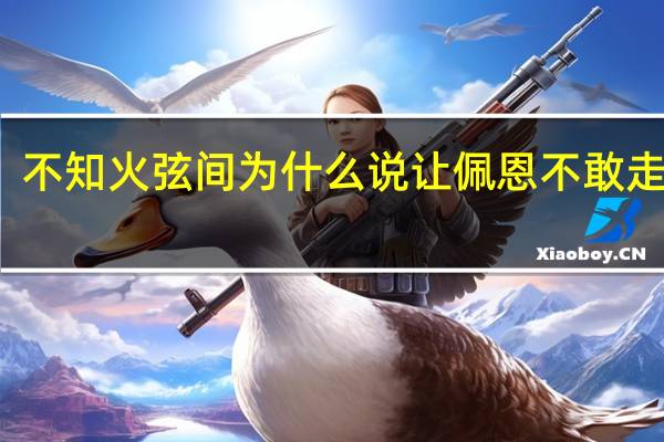 不知火弦间为什么说让佩恩不敢走正门（不知火弦间）