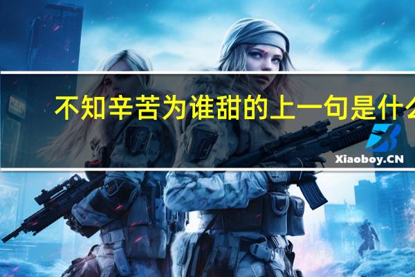 不知辛苦为谁甜的上一句是什么