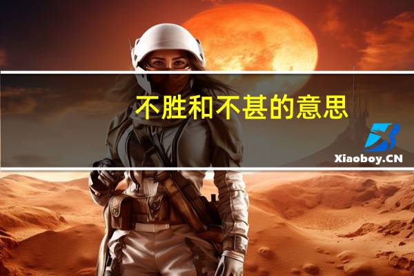 不胜和不甚的意思