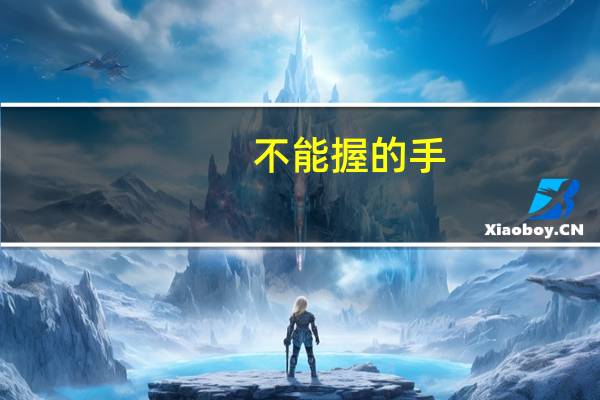 不能握的手（不能握的手简介）