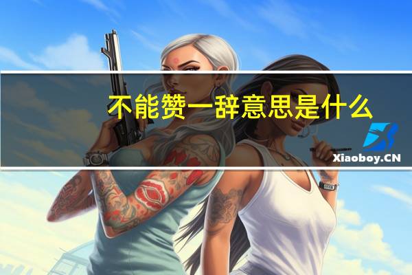 不能赞一辞意思是什么