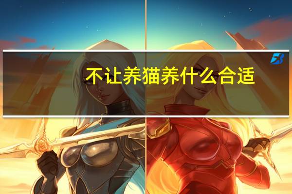 不让养猫养什么合适