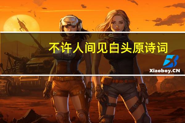 不许人间见白头原诗词
