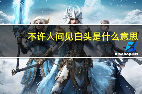 不许人间见白头是什么意思