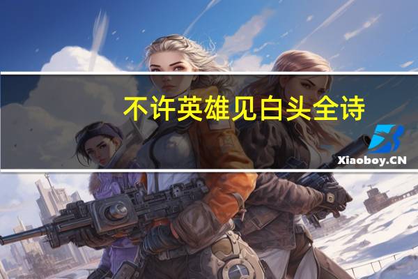 不许英雄见白头全诗