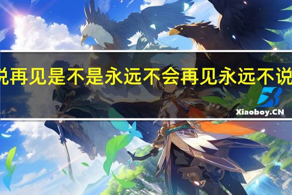 不说再见是不是永远不会再见 永远不说再见歌词