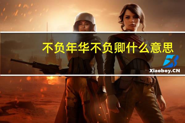 不负年华不负卿什么意思