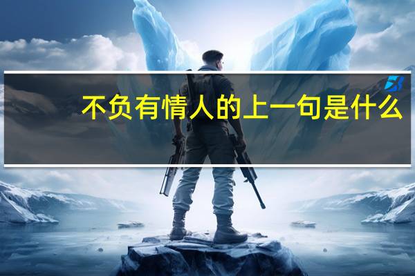 不负有情人的上一句是什么
