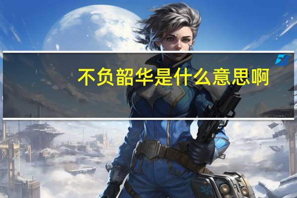 不负韶华是什么意思啊