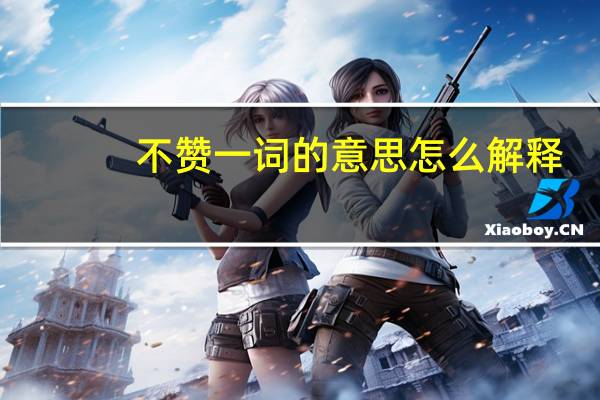 不赞一词的意思怎么解释（不赞一词的意思）
