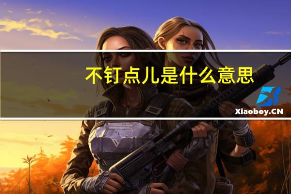 不钉点儿是什么意思