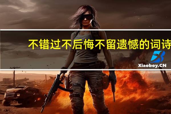 不错过不后悔不留遗憾的词诗