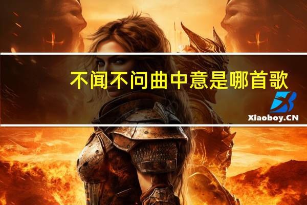 不闻不问曲中意是哪首歌