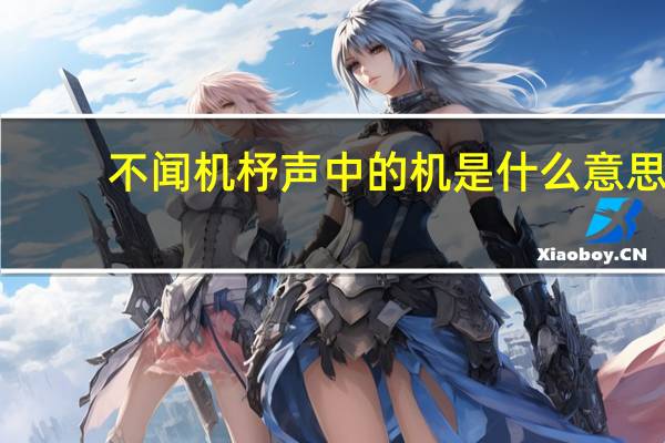不闻机杼声中的机是什么意思