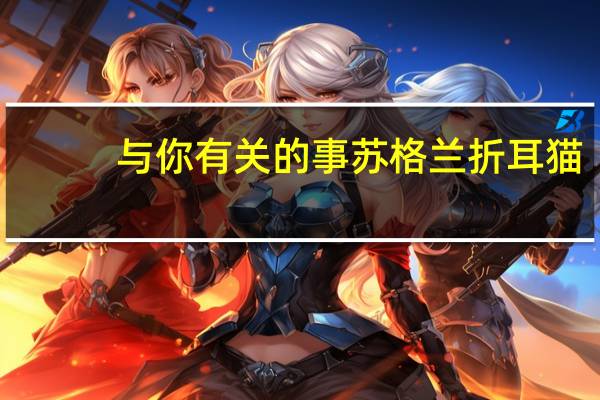 与你有关的事 苏格兰折耳猫（与你有关的事）