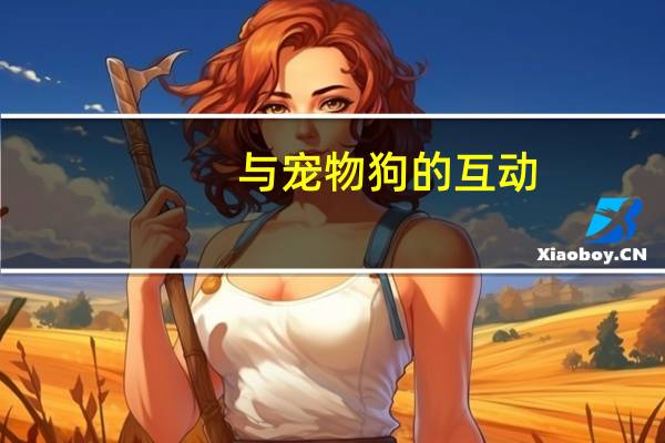 与宠物狗的互动