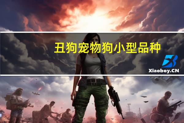 丑狗宠物狗小型品种