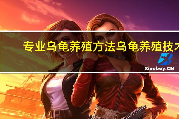 专业乌龟养殖方法 乌龟养殖技术