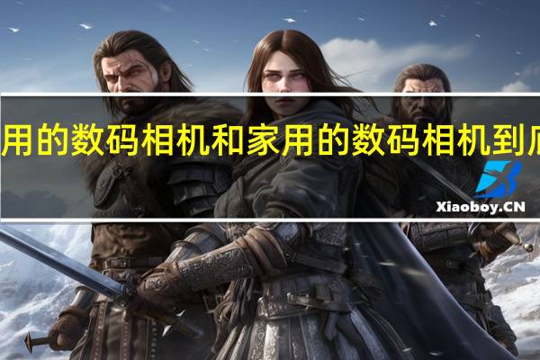 专业人士用的数码相机和家用的数码相机到底有些什么区别