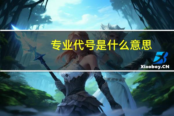 专业代号是什么意思