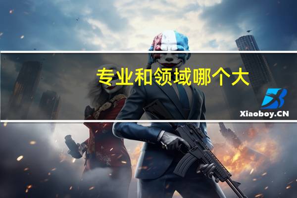 专业和领域哪个大